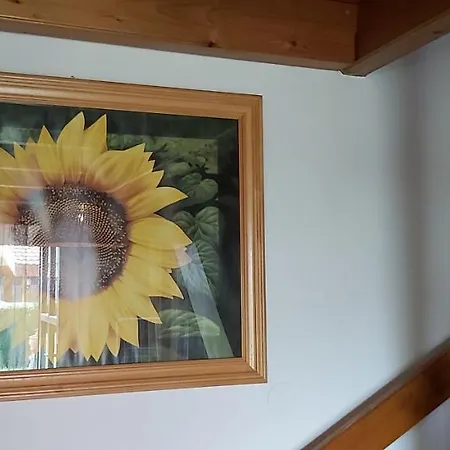 Puszta Vendeghazak 2. アパート *